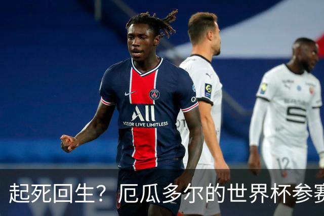 起死回生？厄瓜多尔的世界杯参赛名额可能给意大利